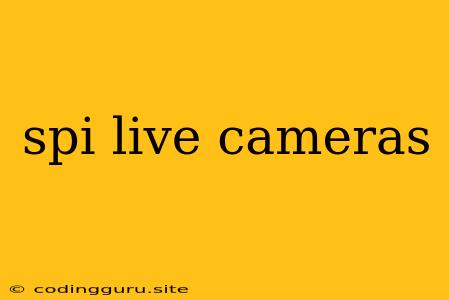 Spi Live Cameras