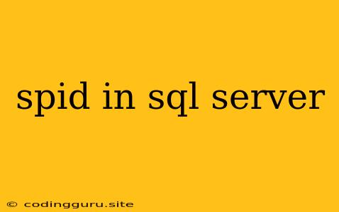 Spid In Sql Server