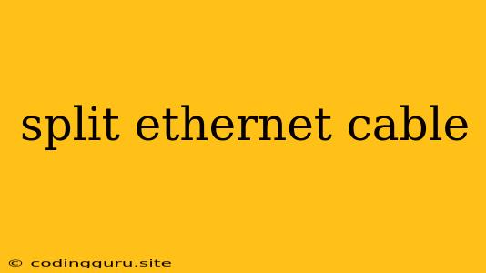 Split Ethernet Cable