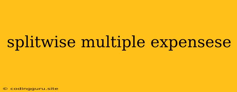 Splitwise Multiple Expensese