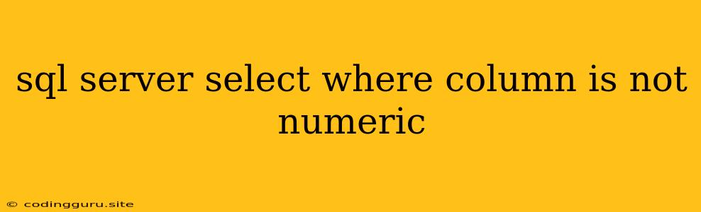 Sql Server Select Where Column Is Not Numeric