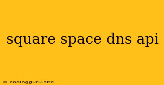 Square Space Dns Api