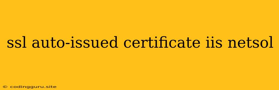 Ssl Auto-issued Certificate Iis Netsol