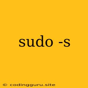 Sudo -s