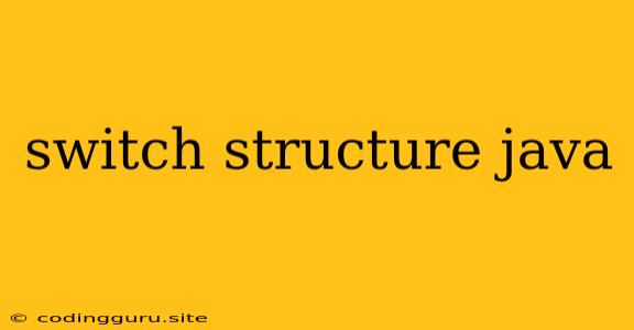 Switch Structure Java