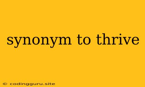 Synonym To Thrive