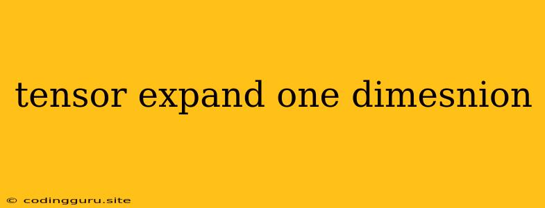 Tensor Expand One Dimesnion