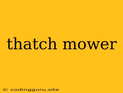 Thatch Mower