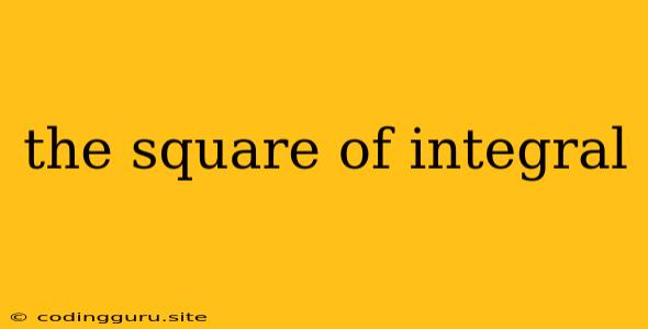 The Square Of Integral