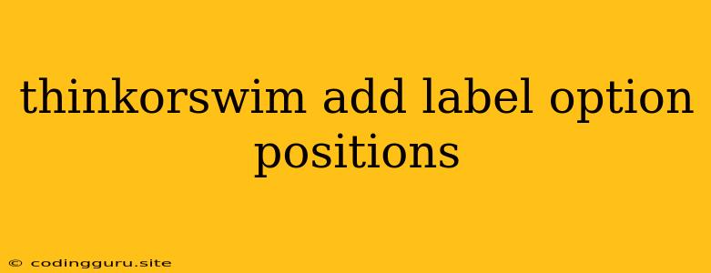 Thinkorswim Add Label Option Positions