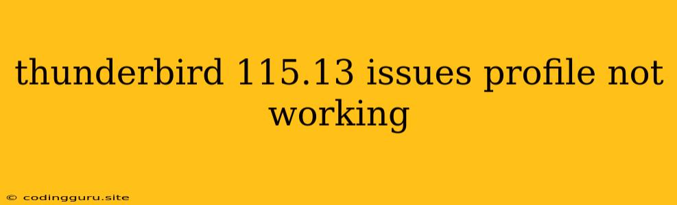 Thunderbird 115.13 Issues Profile Not Working
