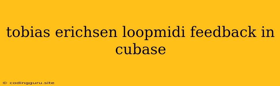 Tobias Erichsen Loopmidi Feedback In Cubase