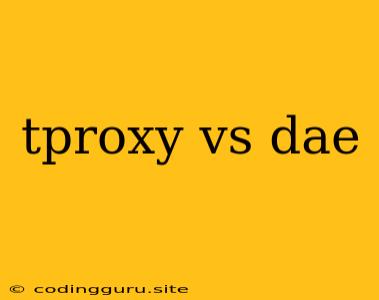 Tproxy Vs Dae