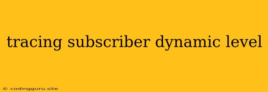 Tracing Subscriber Dynamic Level