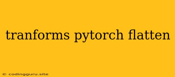 Tranforms Pytorch Flatten