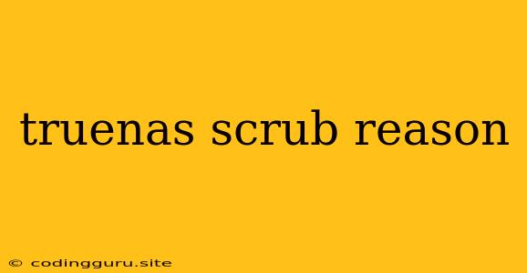 Truenas Scrub Reason