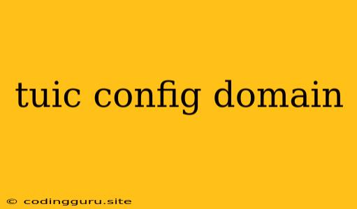 Tuic Config Domain