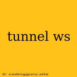 Tunnel Ws