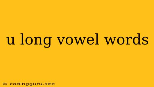 U Long Vowel Words