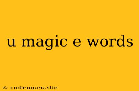 U Magic E Words