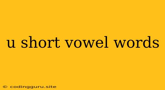 U Short Vowel Words