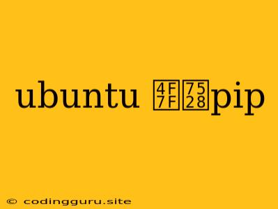 Ubuntu 使用pip