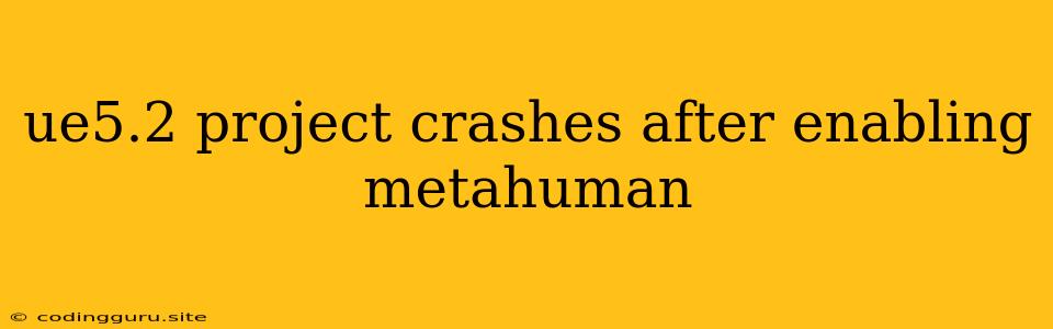 Ue5.2 Project Crashes After Enabling Metahuman