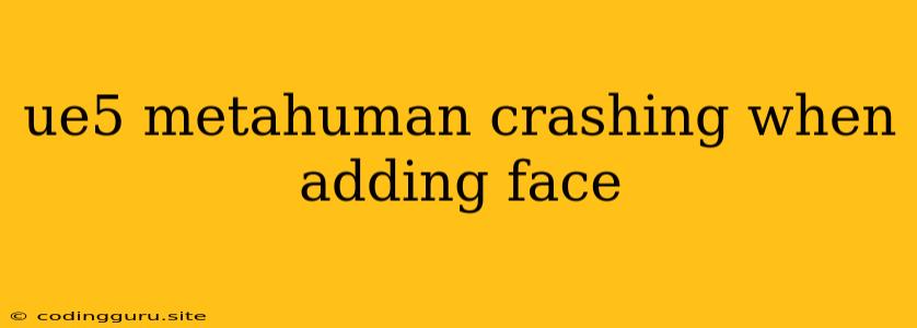 Ue5 Metahuman Crashing When Adding Face