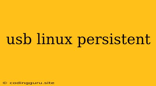 Usb Linux Persistent