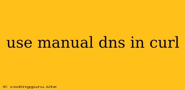 Use Manual Dns In Curl