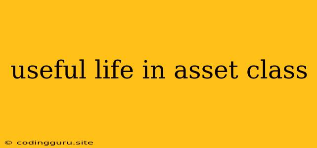 Useful Life In Asset Class