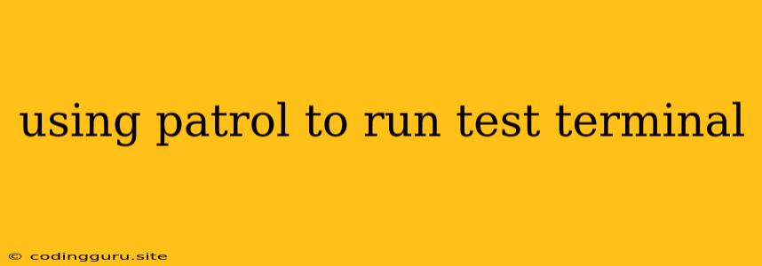 Using Patrol To Run Test Terminal