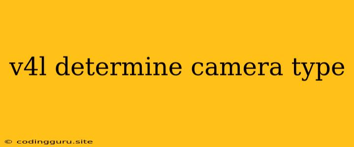 V4l Determine Camera Type