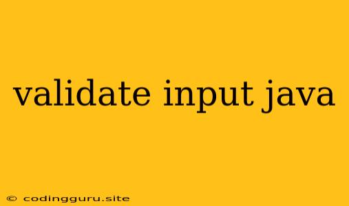 Validate Input Java