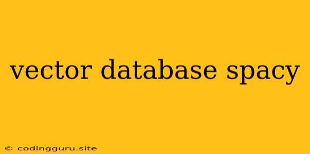 Vector Database Spacy