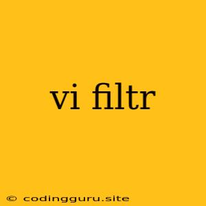 Vi Filtr