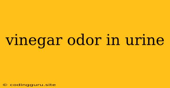 Vinegar Odor In Urine