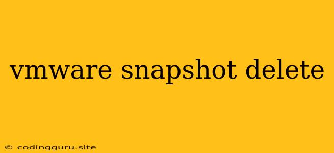 Vmware Snapshot Delete