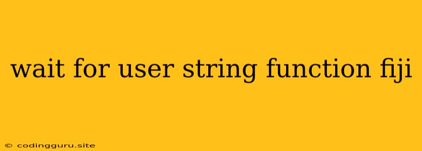 Wait For User String Function Fiji