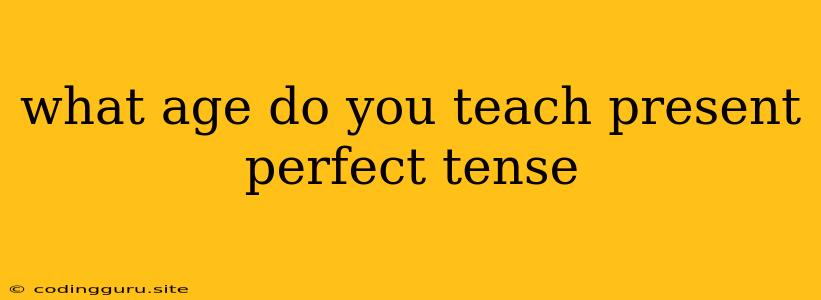 What Age Do You Teach Present Perfect Tense