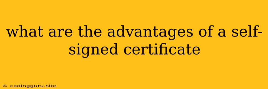 What Are The Advantages Of A Self-signed Certificate