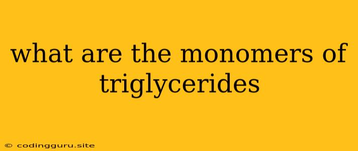 What Are The Monomers Of Triglycerides