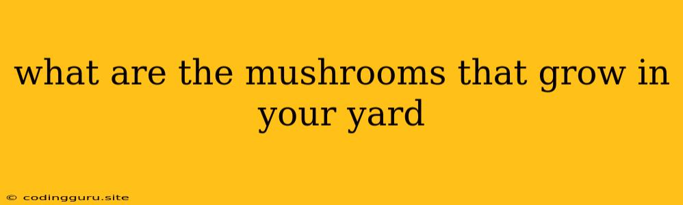 What Are The Mushrooms That Grow In Your Yard