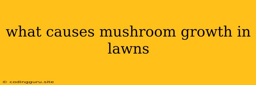 What Causes Mushroom Growth In Lawns