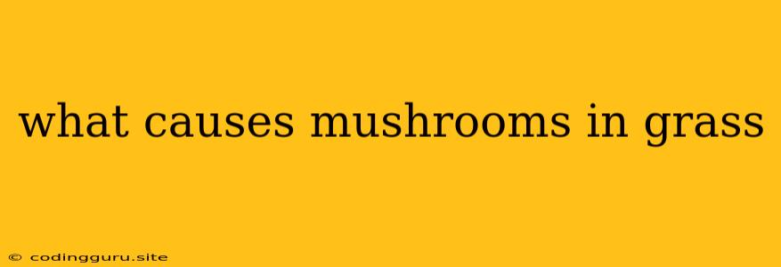 What Causes Mushrooms In Grass