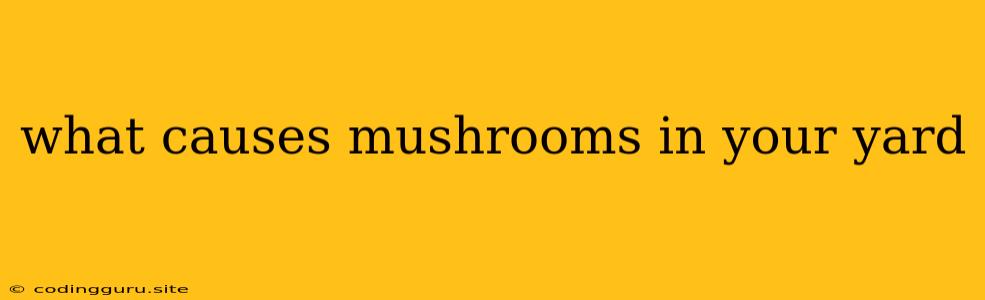 What Causes Mushrooms In Your Yard