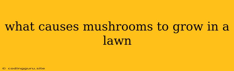 What Causes Mushrooms To Grow In A Lawn