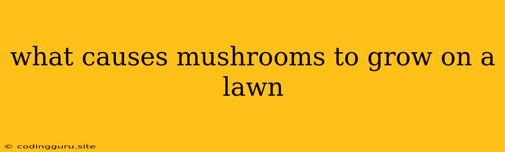 What Causes Mushrooms To Grow On A Lawn