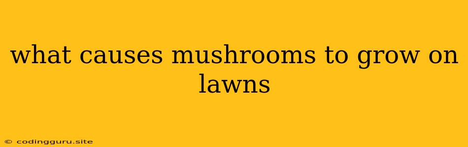 What Causes Mushrooms To Grow On Lawns