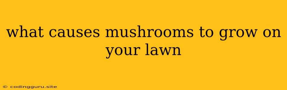 What Causes Mushrooms To Grow On Your Lawn